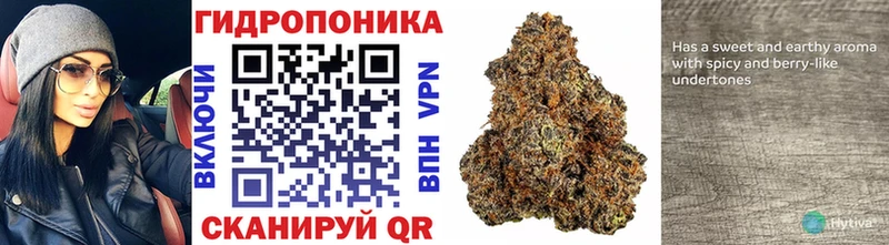 Шишки марихуана White Widow  Порхов 